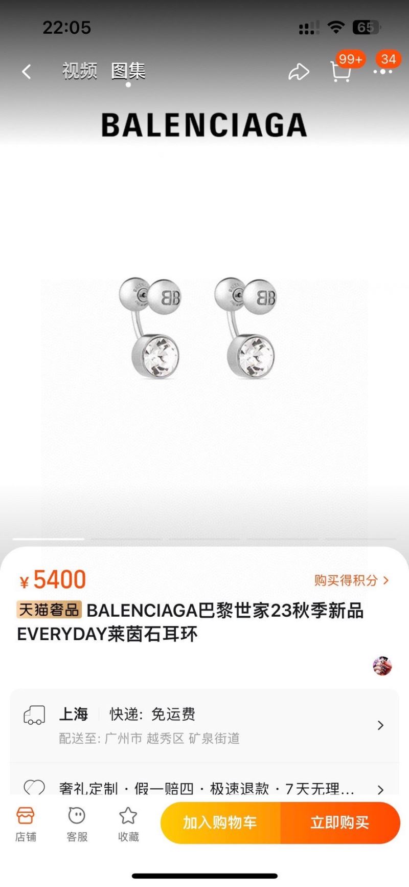 Balenciaga Earrings